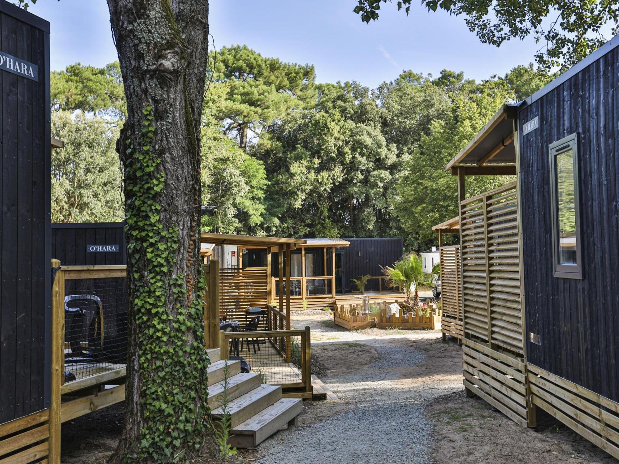 Domaine Residentiel De Plein Air Les Dunes Longeville-sur-Mer Exteriér fotografie